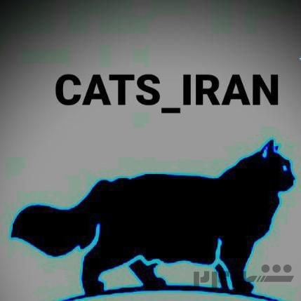 فروشگاه حیوانات خانگی کت ایران CATS-IRAN