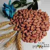 فروش عمده بادام زمینی