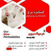 کنسانتره مرغ