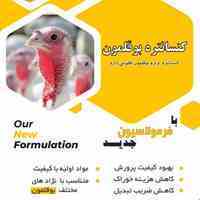 کنسانتره بوقلمون