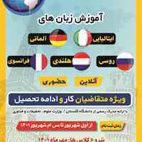 تدریس خصوصی زبان آلمانی، فرانسه ایتالیایی، هلندی، روسی