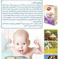 شرکت حامیران تولیدکننده انواع غذاهای پودری کودکان و بزرگسالان