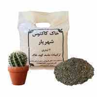 حراج واقعی خاک کاکتوس غنی شده و بسته بندی شده با کیفیت عالی
