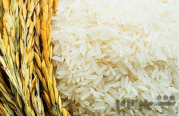 فروش برنج ایرانی در ساوه 