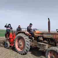 سید چرب و روغن - کنسانتره  - مکمل طیور - مکمل دام - گندم - جو - ذرت - کنجاله سویا - کنجاله