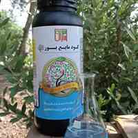 کود مایع بور سبزینه مارال یزد