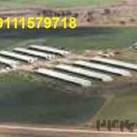 فروش مرغداری در شمال کشور 