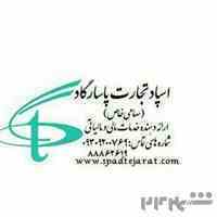 شرکت اسپاد تجارت پاسارگاد (خدمات مالی و مالیاتی)