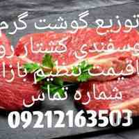 گوشت گوسفند تنظیم بازار