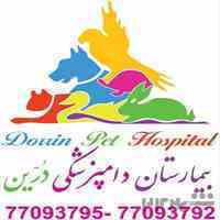 بیمارستان دامپزشکی و پت شاپ شبانه روزی درین