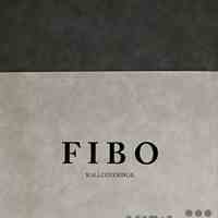 آلبوم کاغذ دیواری فیبو FIBO 