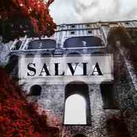 آلبوم کاغذ دیواری سالویا SALVIA 