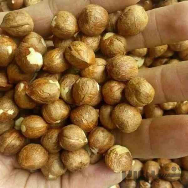 فروش فندق