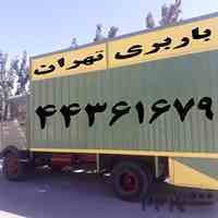 باربری پونک (44361679)