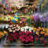 پیش فروش غرفه های 18 متری بازار گل و گیاه (عباس آباد)