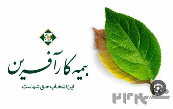 بیمه کارآفرین 