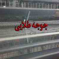 تولید کننده تجهیزات و لوازم مرغداری ها