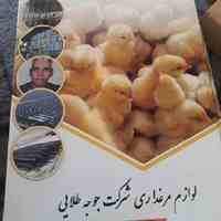 تولیدکننده دانخوری اتوماتیک ، فروش دانخوری اتوماتیک