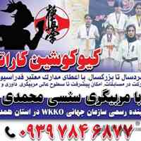 مدرسه کاراته سنسی محمدی/ کیوکوشین همدان