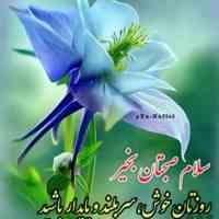 ماساژ 