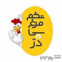 عمده فروشی تخم مرغ سی دُرّ-ارومیه