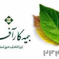بیمه کارآفرین 