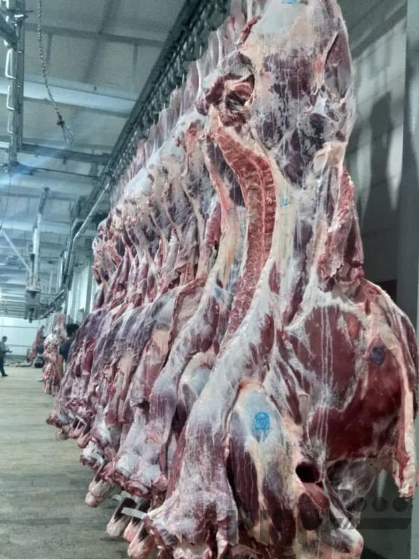 گوشت گوساله، گوسفندی کشتار روز