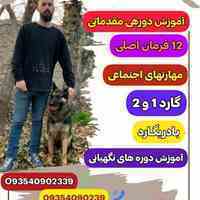 مربی سگ / مربی سگ‌های خانگی 