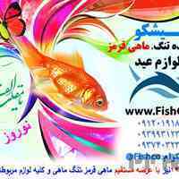  عرضه مستقیم سفره هفت سین