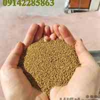 فروش انواع بذر یونجه و علوفه 