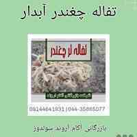 تفاله چغندر