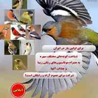 آموزش پرورش صنعتی سهره سانان