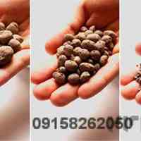 فروش پوکه صنعتی لیکا در مشهد