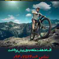 دوچرخه برندهای معتبر اصل تایوان 
