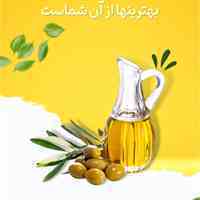 زیتون آتیکا