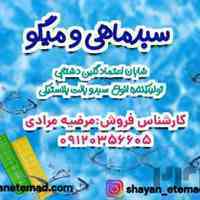 سبد سورتینگ , صندوق 40 کیلویی , جعبه ماهی