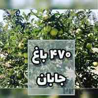 بهترین لیست قیمت زمین، باغ و ویلای ارزان در دماوند