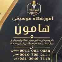 اموزشگاه موسیقی هامون