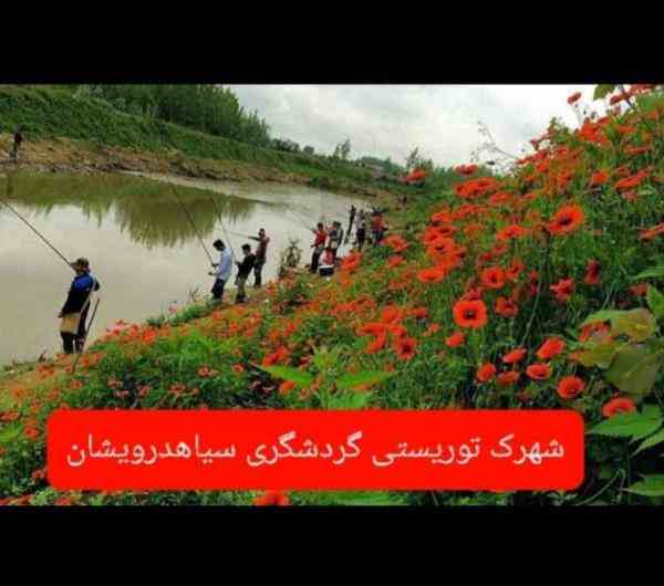 زمینی در منطقه بکر و گردشگری سیاهدرویشان