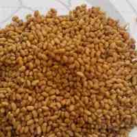 بذریونجه درجه یک 