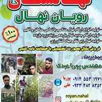 نهالستان دنیز نهال