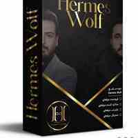 دوره جامع فروش و بازاریابی و مذاکره Hermes Wolf