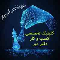 مشاوره تخصصی کسب و کار دکتر میر