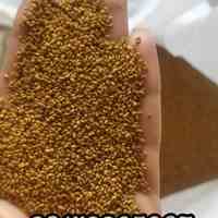 فروش بذر یونجه تضمینی درجه یک