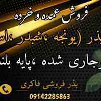 فروش بذر یونجه پا بلند