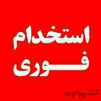 استخدام نیرو 