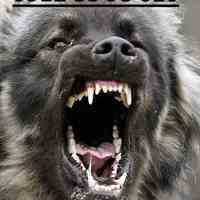 قدرت سگ قفقازی