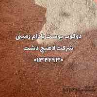 	پوست بادام زمینی