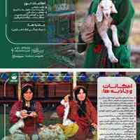 تور های تخصصی در فارس و شیراز 