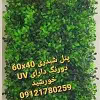 فروش انواع چمن مصنوعی، فنس چمنی و گرین وال با تراکم بالا